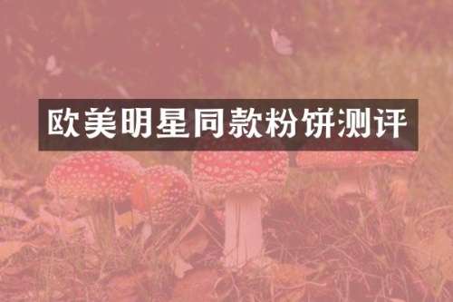 欧美明星同款粉饼测评