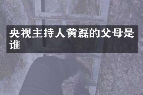 央视主持人黄磊的父母是谁