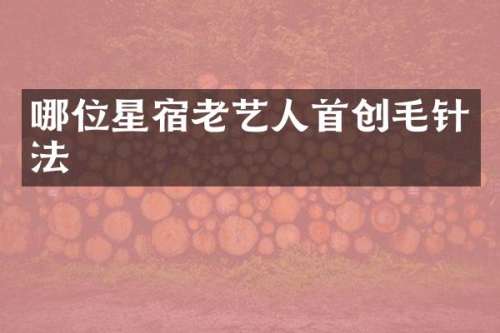 哪位星宿老艺人首创毛针法