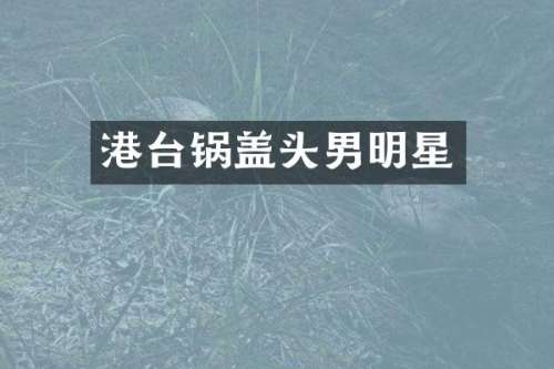 港台锅盖头男明星