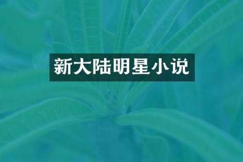 新大陆明星小说