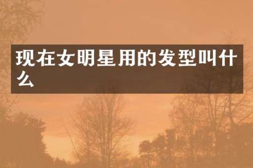 现在女明星用的发型叫什么
