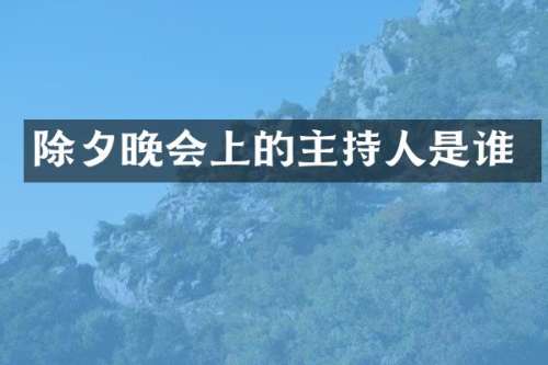 除夕晚会上的主持人是谁