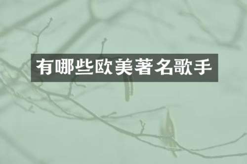 有哪些欧美著名歌手