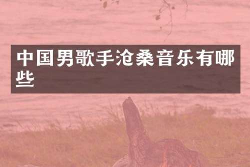 中国男歌手沧桑音乐有哪些