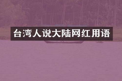 台湾人说大陆网红用语
