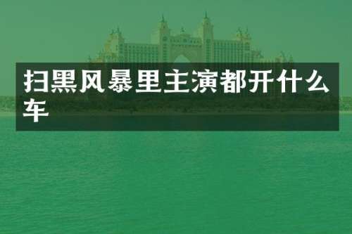 扫黑风暴里主演都开什么车