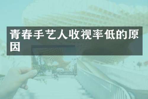 青春手艺人收视率低的原因