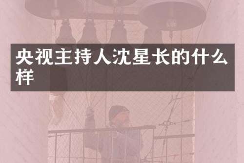 央视主持人沈星长的什么样
