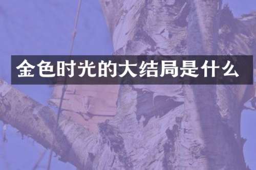 金色时光的大结局是什么