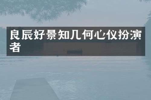 良辰好景知几何心仪扮演者