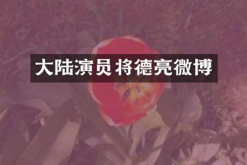 大陆演员将德亮微博