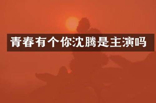 青春有个你沈腾是主演吗