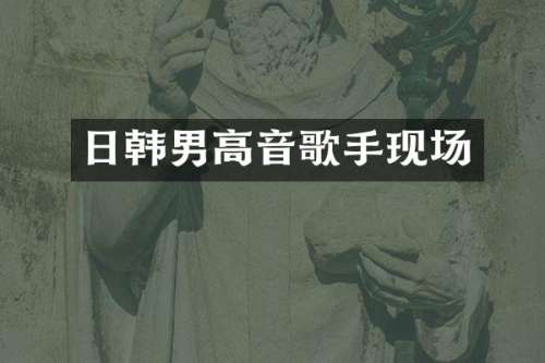 日韩男高音歌手现场