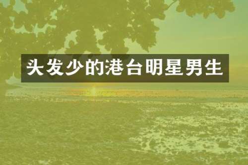 头发少的港台明星男生