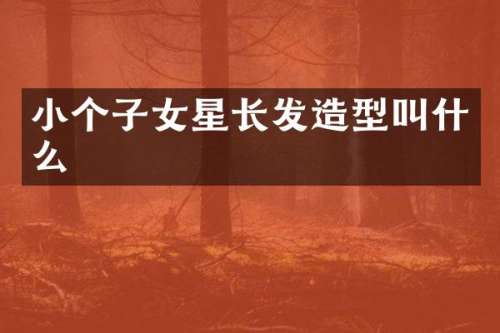 小个子女星长发造型叫什么