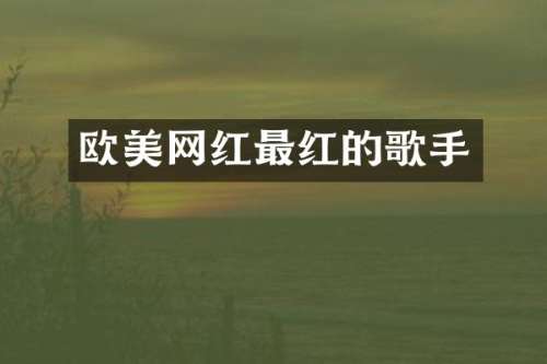 欧美网红最红的歌手