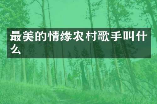 最美的情缘农村歌手叫什么