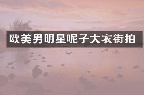 欧美男明星呢子大衣街拍