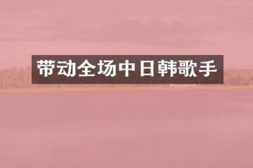 带动全场中日韩歌手