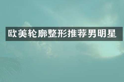 欧美轮廓整形推荐男明星