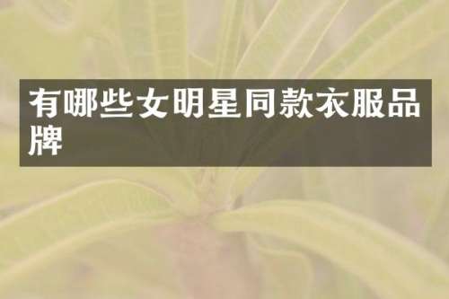 有哪些女明星同款衣服品牌