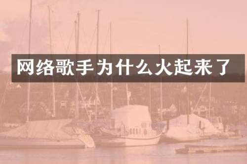 网络歌手为什么火起来了