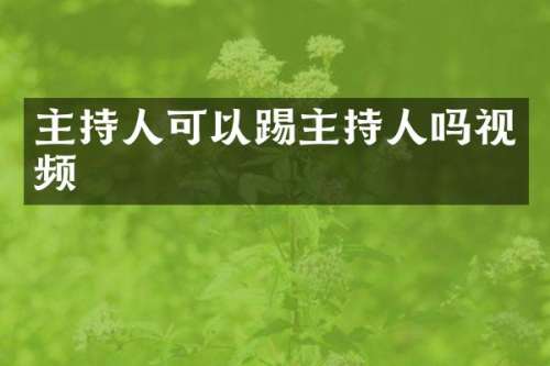 主持人可以踢主持人吗视频