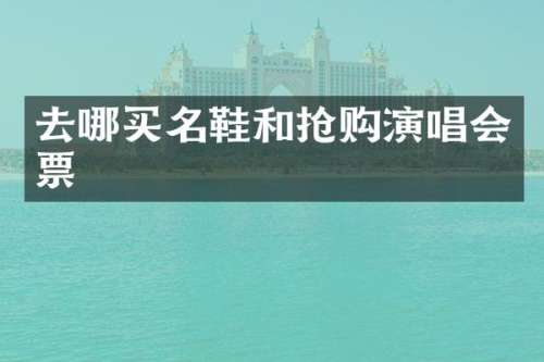 去哪买名鞋和抢购演唱会票