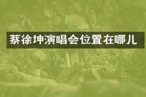 蔡徐坤演唱会位置在哪儿