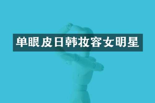 单眼皮日韩妆容女明星
