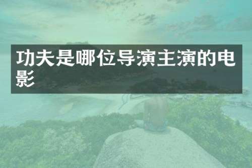 功夫是哪位导演主演的电影