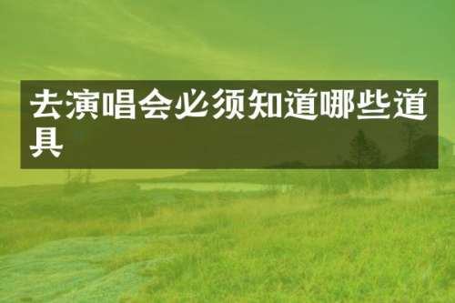 去演唱会必须知道哪些道具
