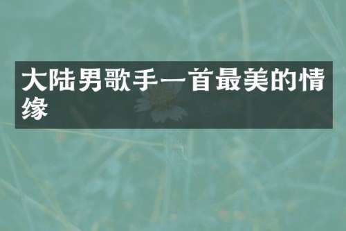 大陆男歌手一首最美的情缘