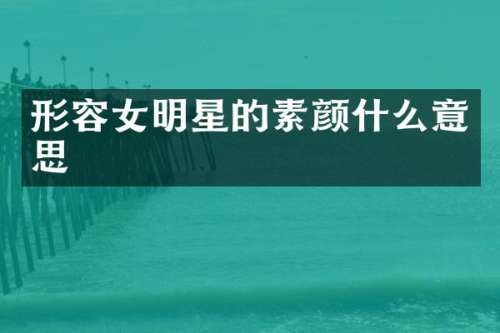 形容女明星的素颜什么意思