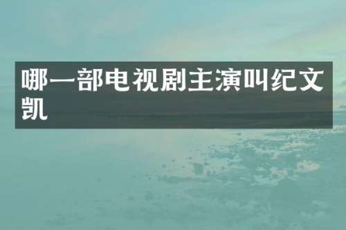 哪一部电视剧主演叫纪文凯