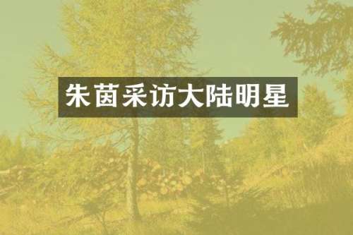 朱茵采访大陆明星