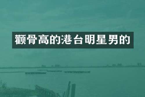 颧骨高的港台明星男的