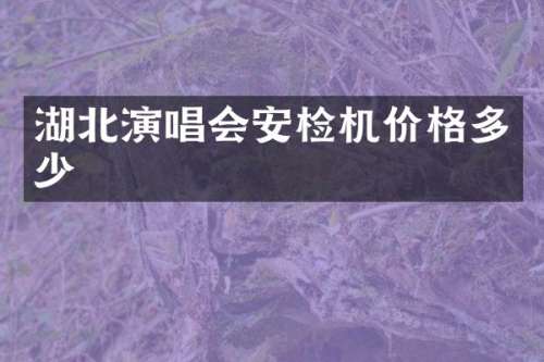 湖北演唱会安检机价格多少