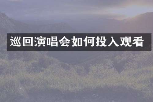 巡回演唱会如何投入观看