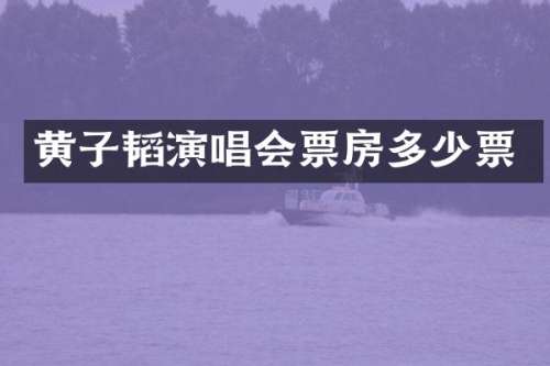 黄子韬演唱会票房多少票