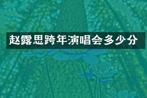 赵思跨年演唱会多少分
