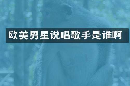 欧美男星说唱歌手是谁啊