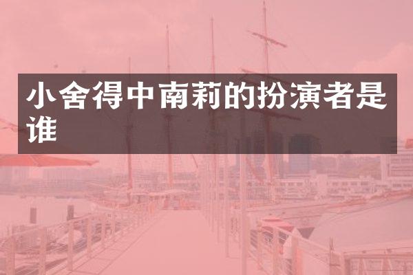 小舍得中南莉的扮演者是谁