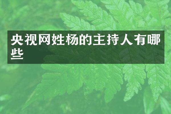 央视网姓杨的主持人有哪些