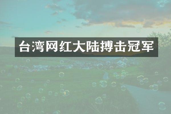 台湾网红大陆搏击冠军