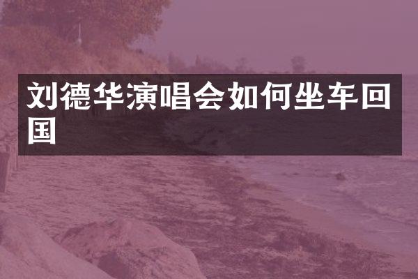 刘德华演唱会如何坐车回国