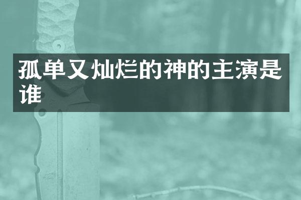 孤单又灿烂的神的主演是谁