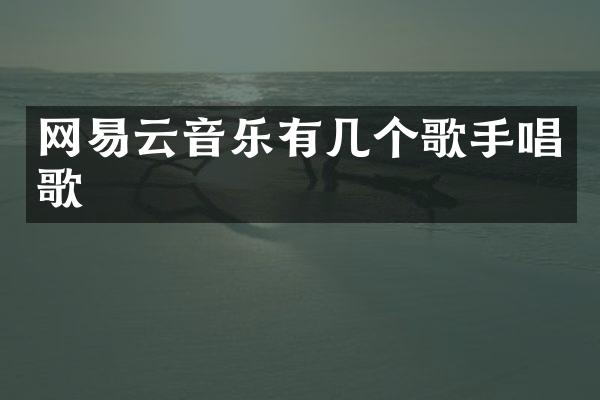 网易云音乐有几个歌手唱歌