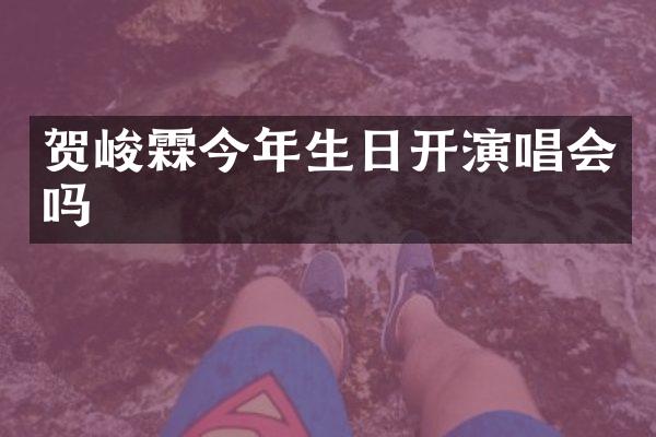 贺峻霖今年生日开演唱会吗
